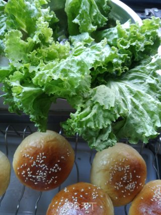 New Orleans Chicken Drumstick Burger recipe