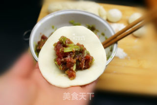 Beef Dumplings recipe