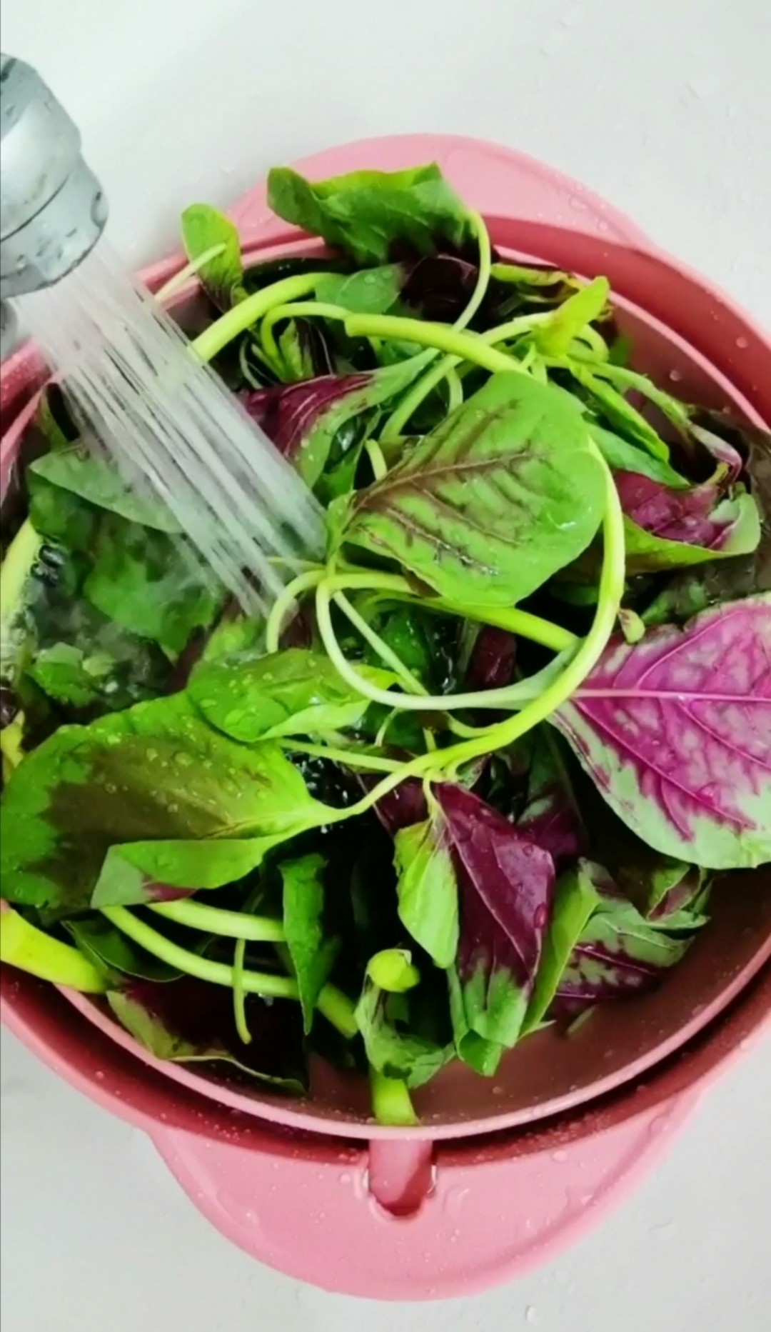 Amaranth Salad recipe