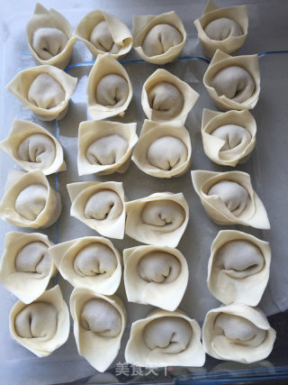 Beef Scallion Wontons recipe