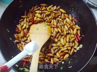 Dry Stir-fried Silkworm Pupae. recipe