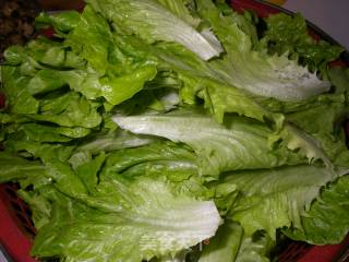 Lettuce in Oyster Sauce recipe