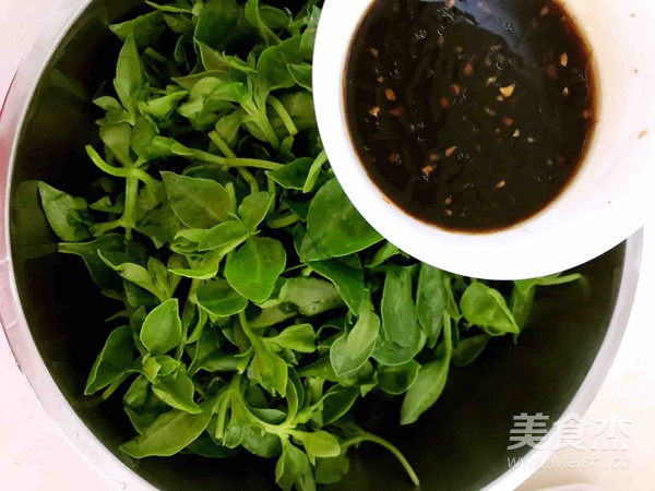 Andrographis recipe