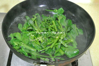 Organic Chinese Kale Seedlings Mixed with Olive Oil and Salt recipe