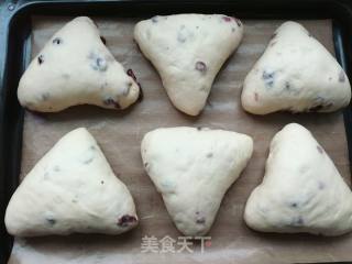 Cranberry Cheese Soft European recipe