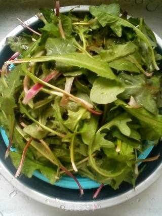 Dandelion Salad recipe