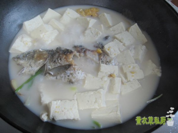 Tofu Stewed with Crucian Carp recipe