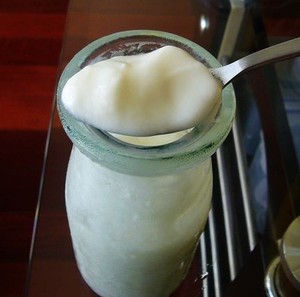 Small Fresh Yogurt Pot recipe