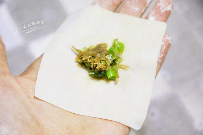 Beef and Bean Wonton recipe