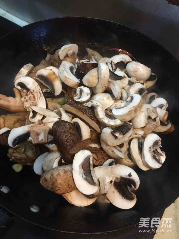 Chicken Stewed with Mushrooms recipe