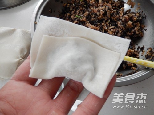 Dried Bamboo Shoots, Fungus and Fresh Meat Wontons recipe