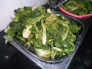 Home-made Sauerkraut-healthy and Delicious recipe