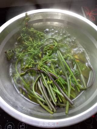 Bracken Fiddlehead recipe