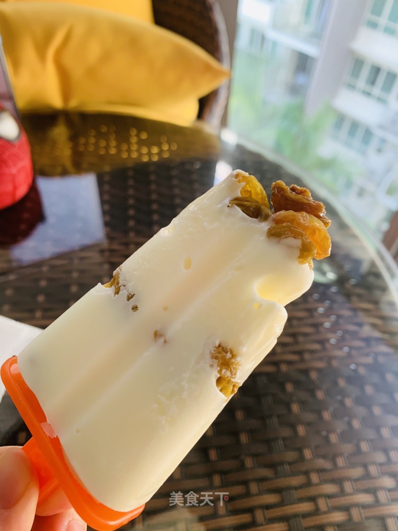 Yogurt and Raisin Low Fat Ice Cream recipe