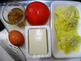 Tomato Wanton Egg Tofu recipe