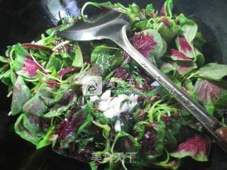 Fried Red Amaranth with Yuba recipe