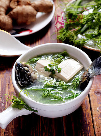 Chayote Miao Crucian Fish Soup