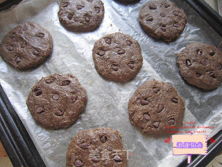 Fun Duo Duo Biscuits (chocolate Soft Cookies) recipe