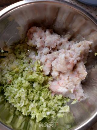 Homemade Shrimp Dumplings recipe