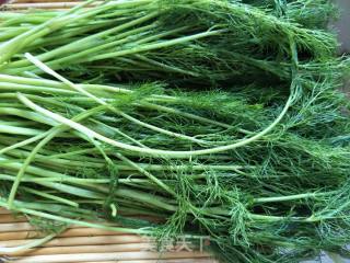 Fennel Buns recipe