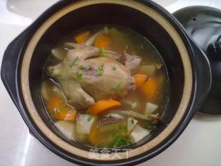 Refreshing Pigeon Soup recipe