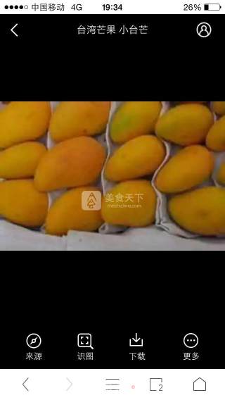 Mango Mousse recipe