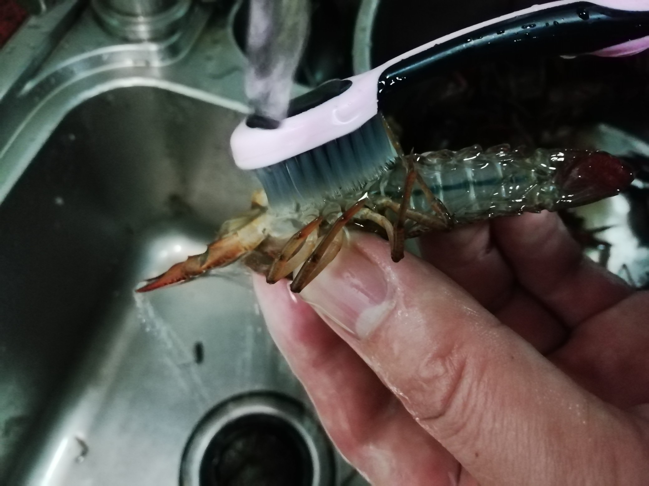 Fresh Crayfish recipe