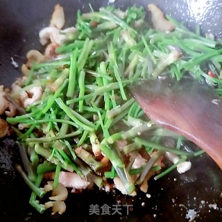 Stir-fried Pork with Wild Celery Stalks recipe