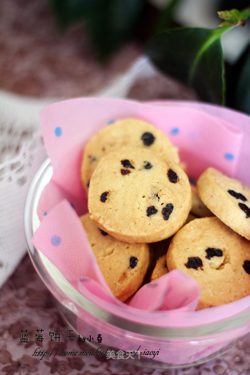 Naturally Presents No Added Sweet and Sour Taste-blueberry Biscuits