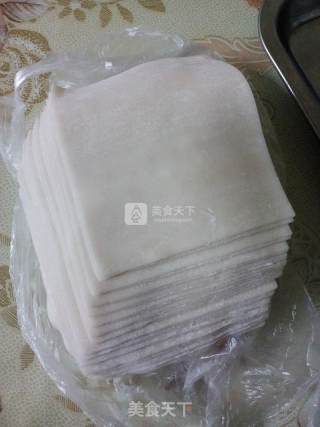 Pork Scallion Wonton recipe