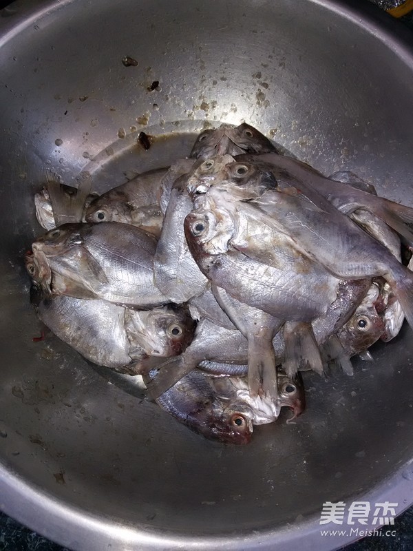 Fried Pomfret recipe