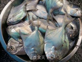 Boiled Pomfret recipe