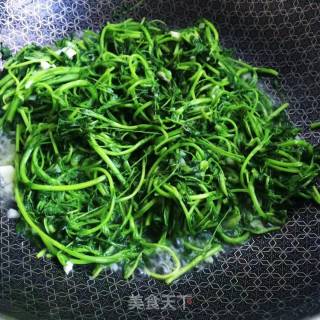 Garlic Alfalfa Sprouts recipe