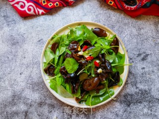 Nepeta Mixed Fungus recipe