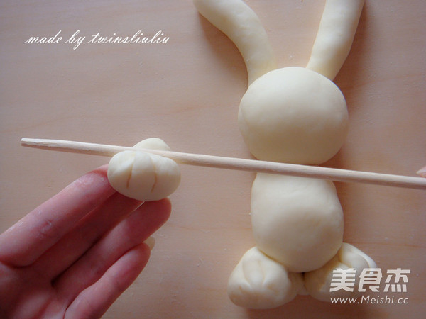 Bunny Weightlifting of Fancy Pasta recipe