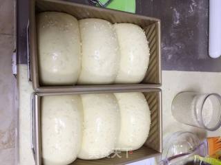 Toast Fang-winners of Lezhong Colorful Summer Baking Competition recipe