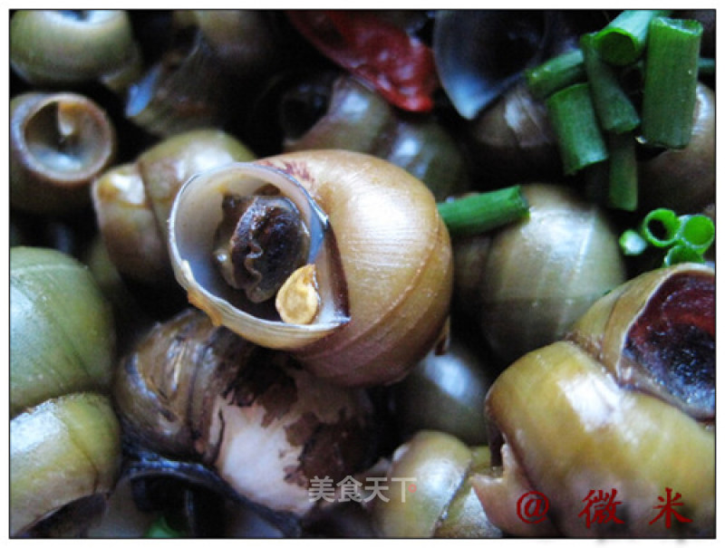 Spicy Snail recipe