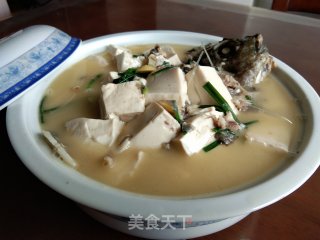 Crucian Tofu Soup recipe