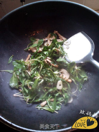 Stir-fried Shredded Pork with Dandelion recipe