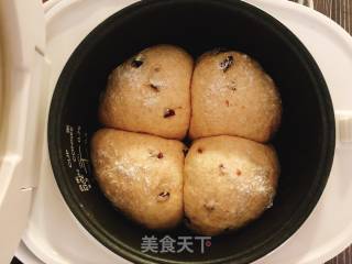 Cranberry Whole Wheat Bread recipe