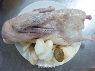 Pleurotus Eryngii Wonton Mochi Duck Pot recipe