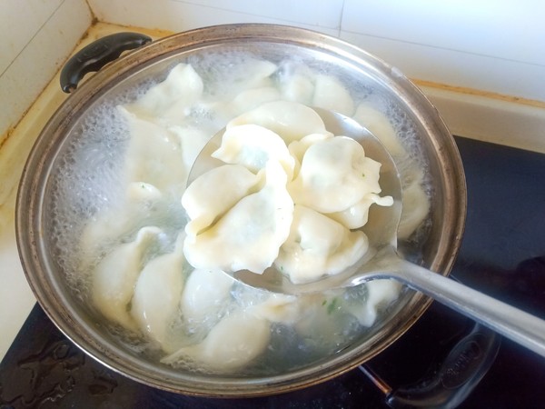 Alfalfa Dumplings recipe