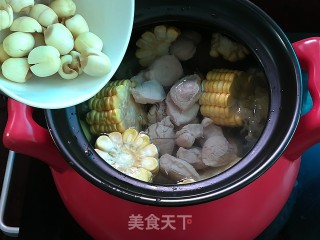 Corn Apple Pork Tendon Soup recipe