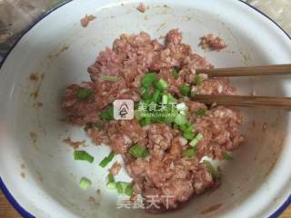 Fried Wonton with Egg Crust recipe