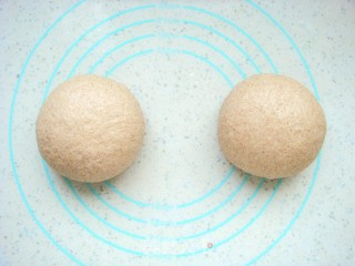 Farmer Slow Rye Soft European Buns recipe