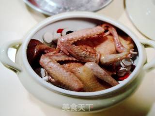 Stewed Pigeon with Huaiqi and Huangjing recipe