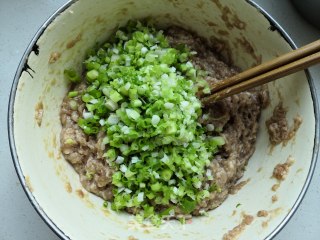 Pork and Green Onion Buns recipe