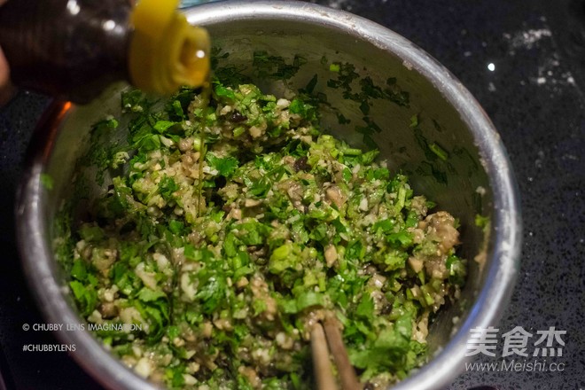 Cilantro, Mushroom and Chicken Breast Dumplings recipe