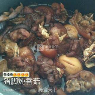 Stewed Pork Trotters with Shiitake Mushrooms recipe