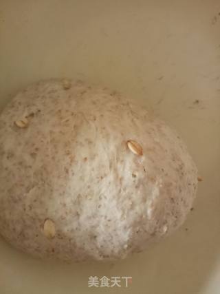 Whole Wheat Bread recipe